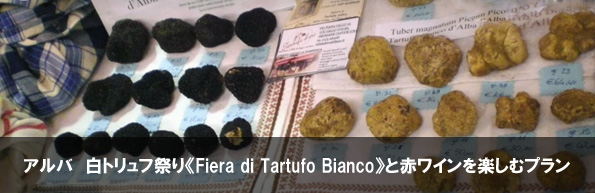 アルバ 白トリュフ祭り《Fiera di Tartufo Bianco》と赤ワインを楽しむプラン